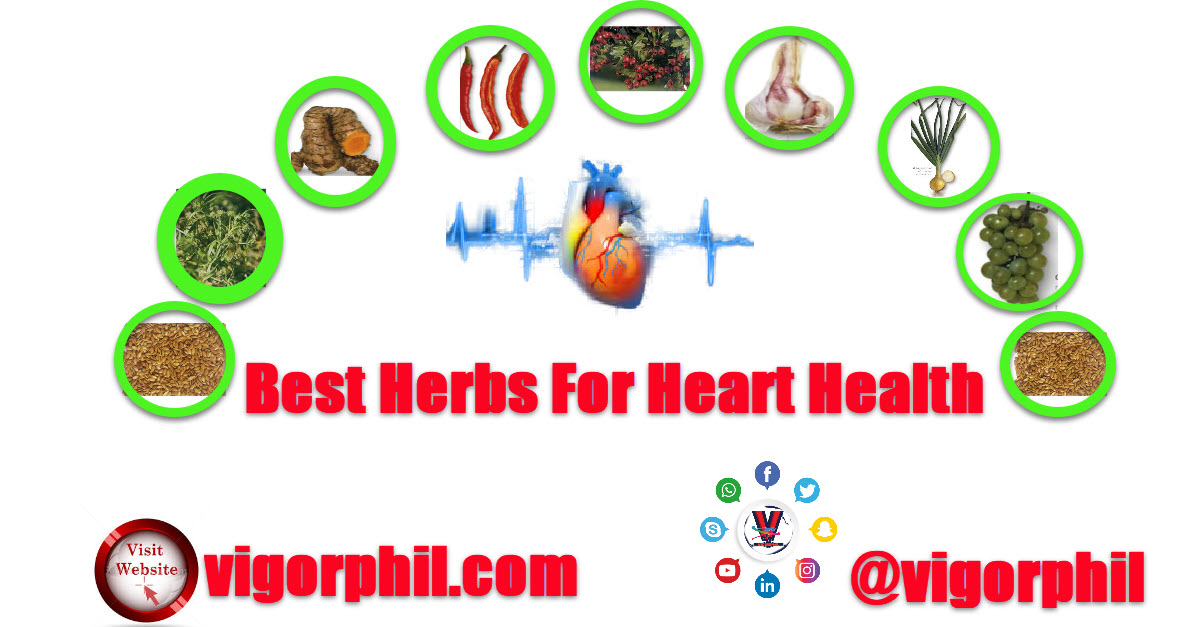 best herbs for heart health