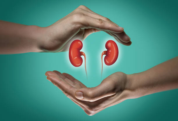 elimination channels kidney
