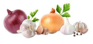 fresh garlic, onion