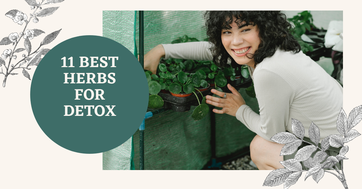 Best herbs for detox