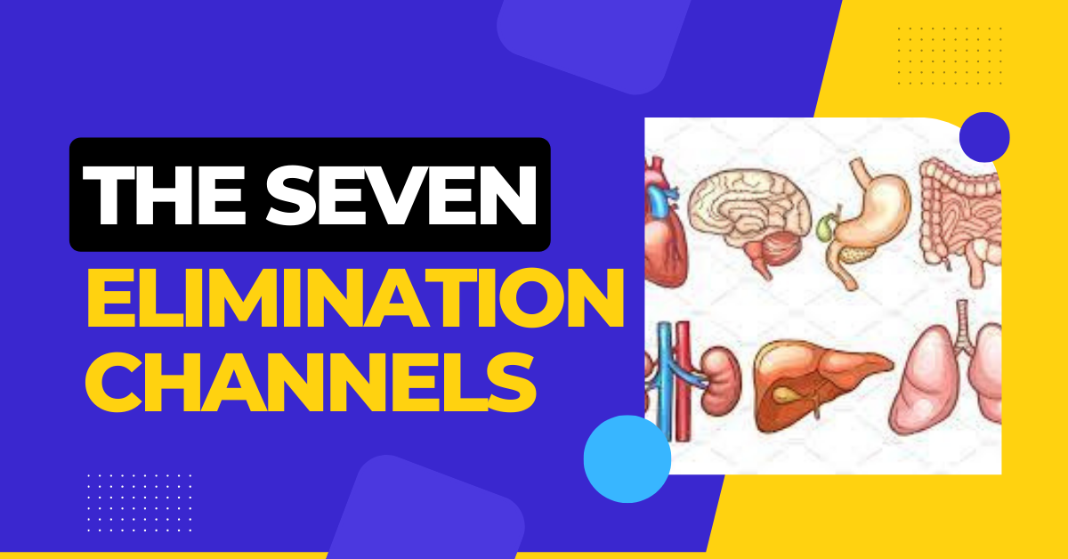 seven channels of elimination