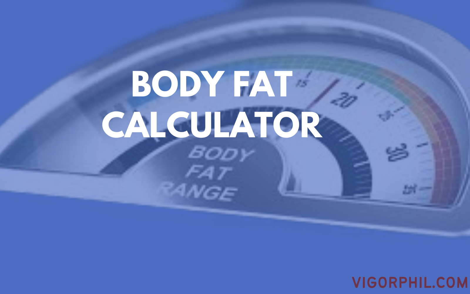 Body Fat Calculator​