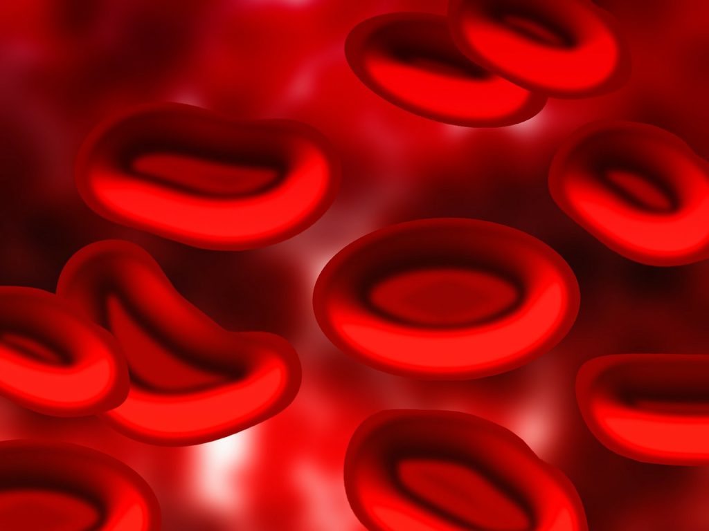 blood, blood plasma, red blood cells-
