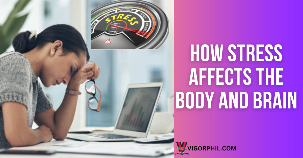 How Stress Affects the Body and Brain