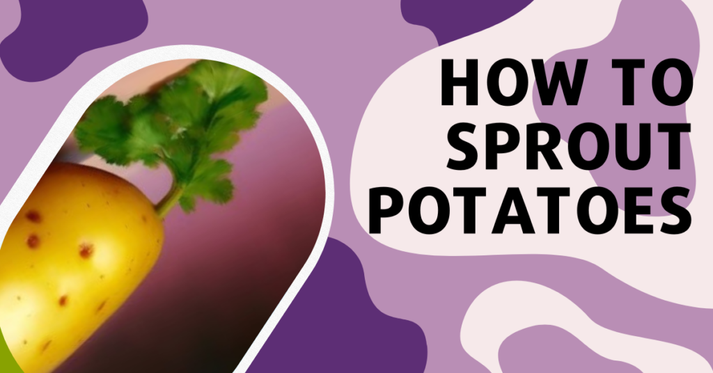 How To Sprout Potatoes